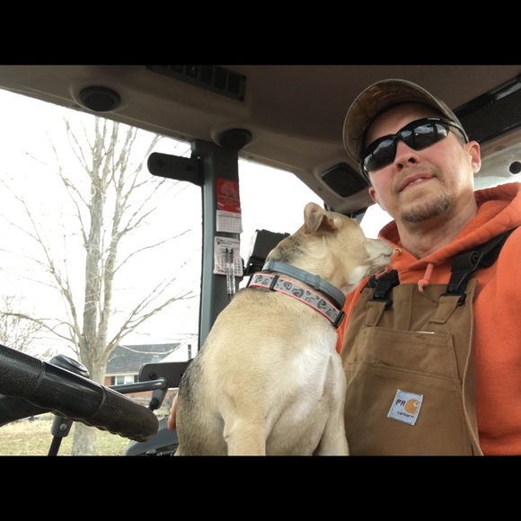 Meet your Posher, Dudley - Picture 1 of 1